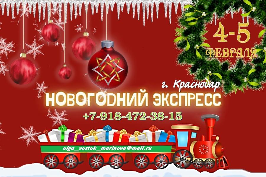 Новогодний Экспресс, 4-5 февраля 2023, г. Краснодар